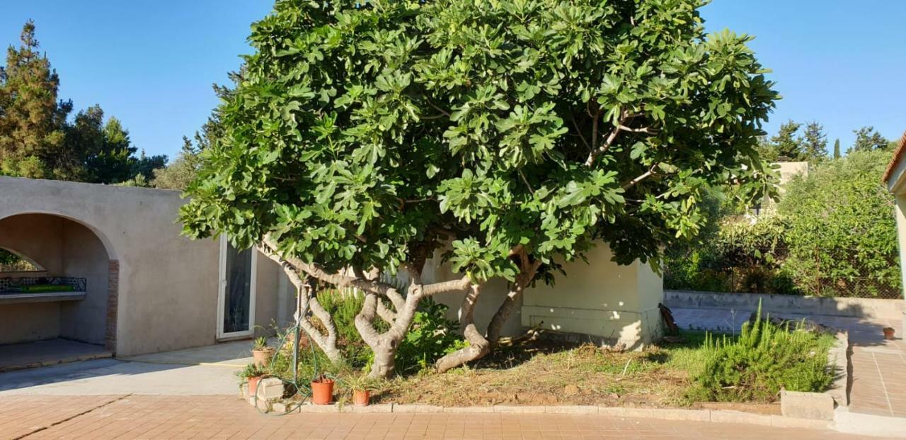 Villa Renzo E Lucia Sant Isidoro  Ngoại thất bức ảnh